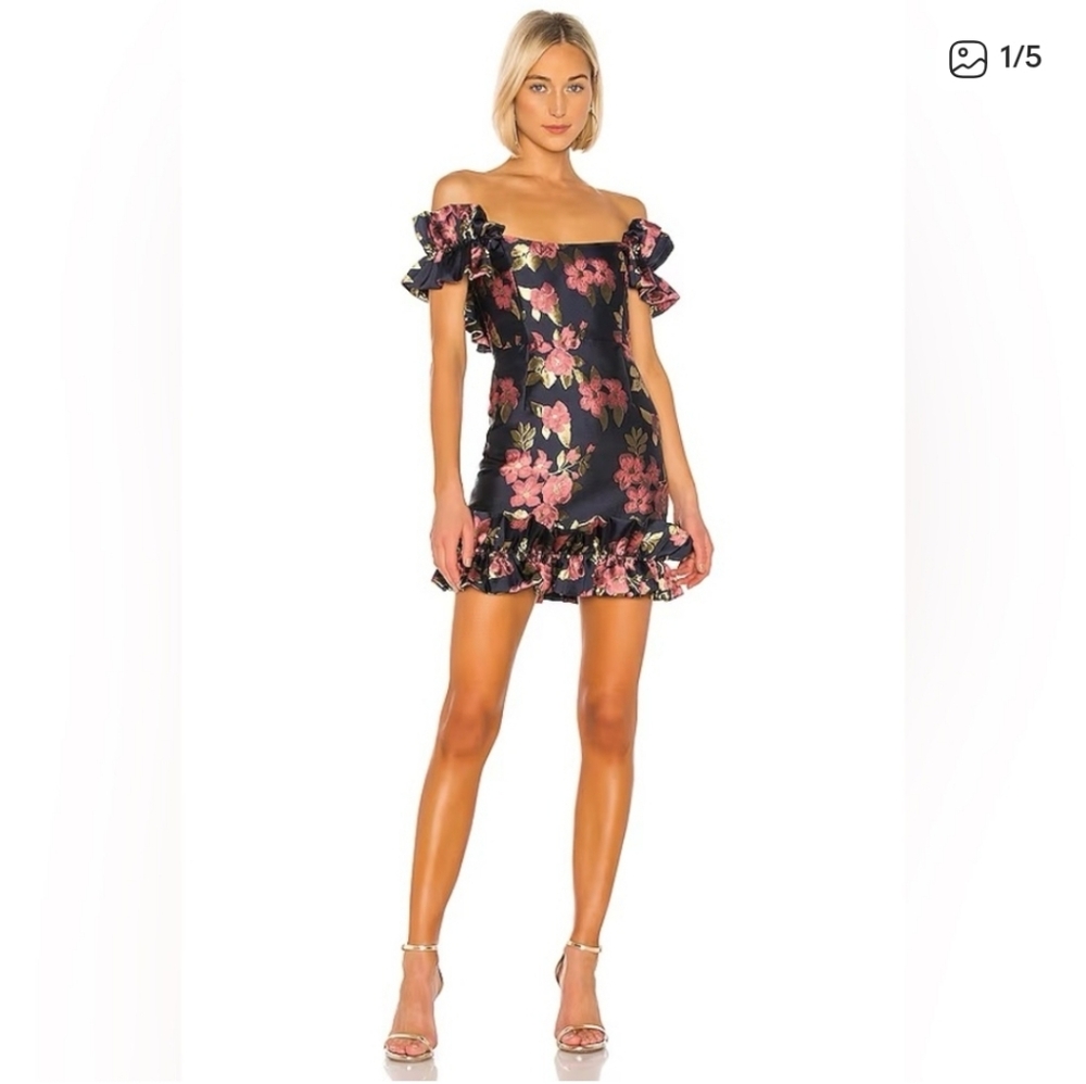 V. Chapman Hollyhock Dress in Baroque Rose in Size 0